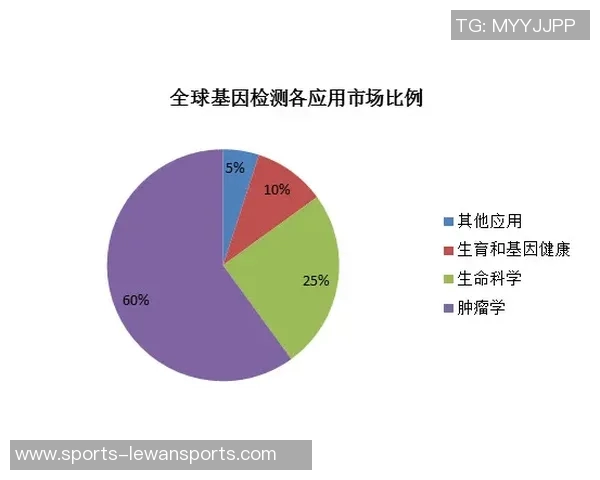 足球财富的崛起与未来发展趋势探讨及其对全球经济的影响分析